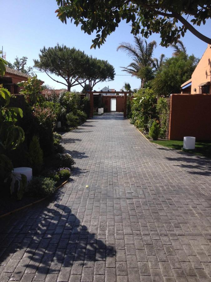 Estudio Para Pareja Con Jardincito Privado Barbaco Cádiz Exterior foto